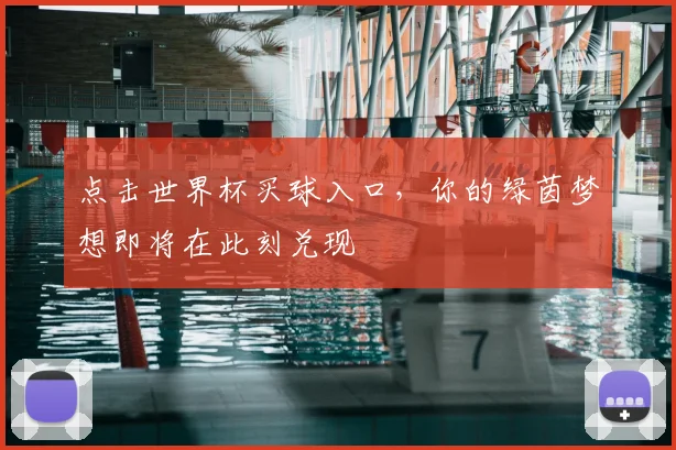 点击世界杯买球入口,你的绿茵梦想即将在此刻兑现