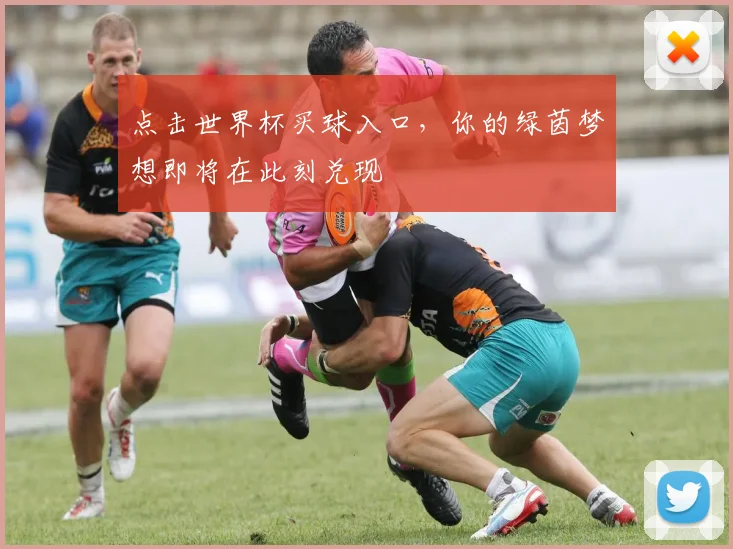 点击世界杯买球入口,你的绿茵梦想即将在此刻兑现
