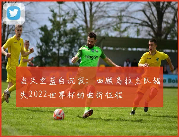 当天空蓝白沉寂：回顾乌拉圭队错失2022世界杯的曲折征程