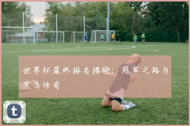 世界杯最终排名揭晓：冠军之路与黑马传奇