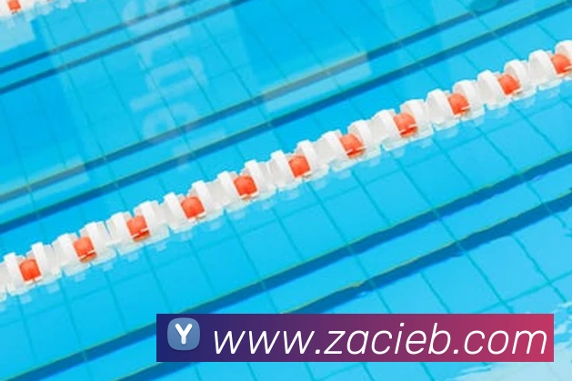 国际米兰官方网站服务体系